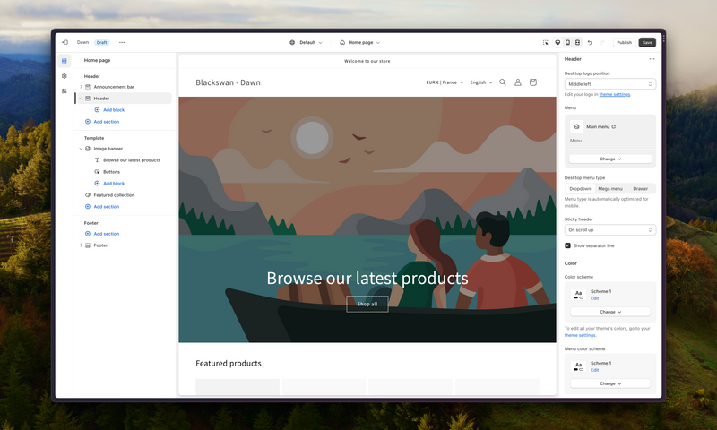 BlackSwan Paris : Votre Partenaire pour une Gestion Simplifiée de Shopify