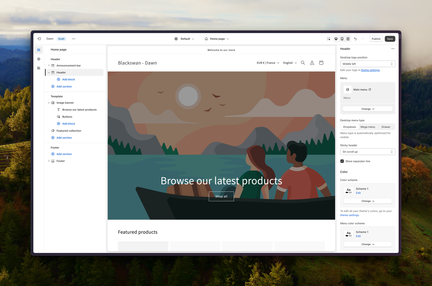 BlackSwan Paris : Votre Partenaire pour une Gestion Simplifiée de Shopify